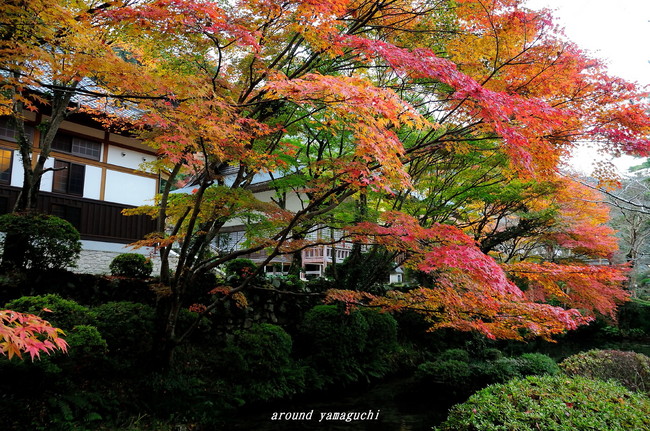 大寧寺23.jpg