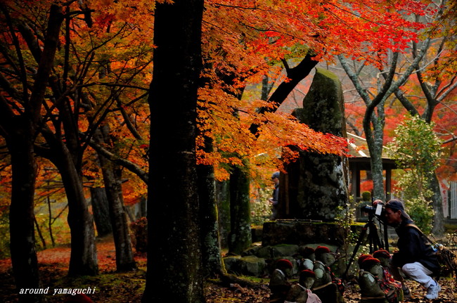大寧寺24.jpg