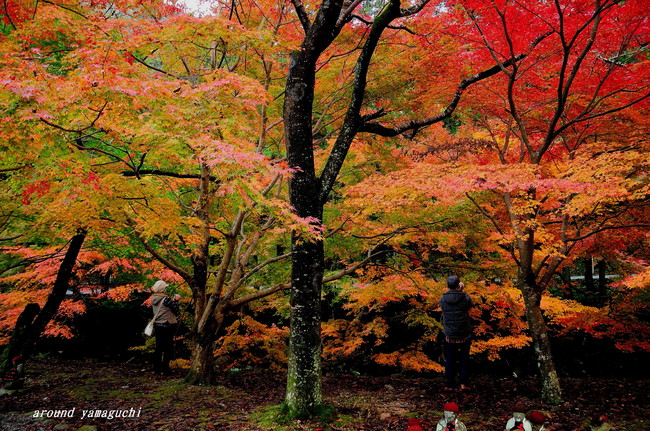 大寧寺25.jpg