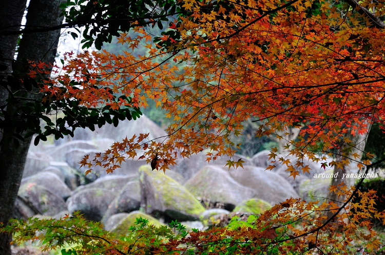 大岩郷03.jpg