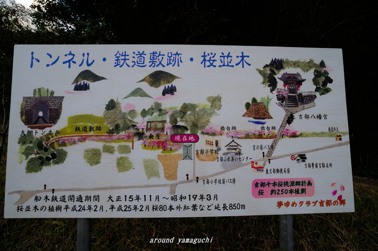 大棚SL09.jpg
