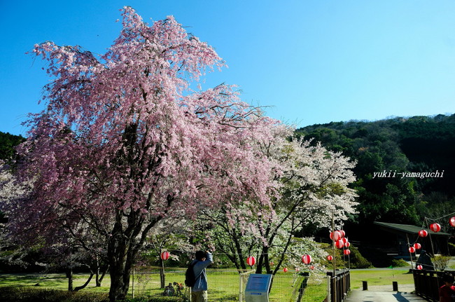 大正洞04.jpg