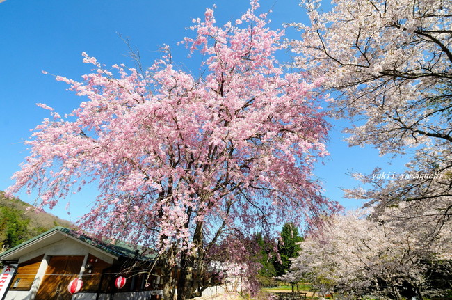 大正洞07.jpg