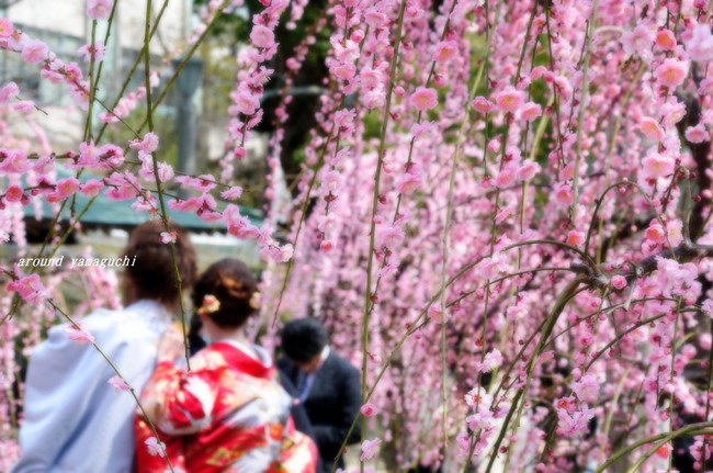 天満宮04.jpg