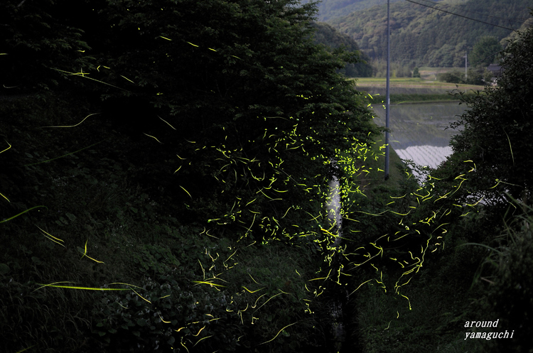小野08.jpg