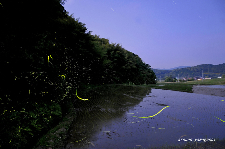小野15.jpg