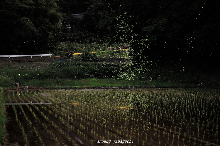 小野20.jpg