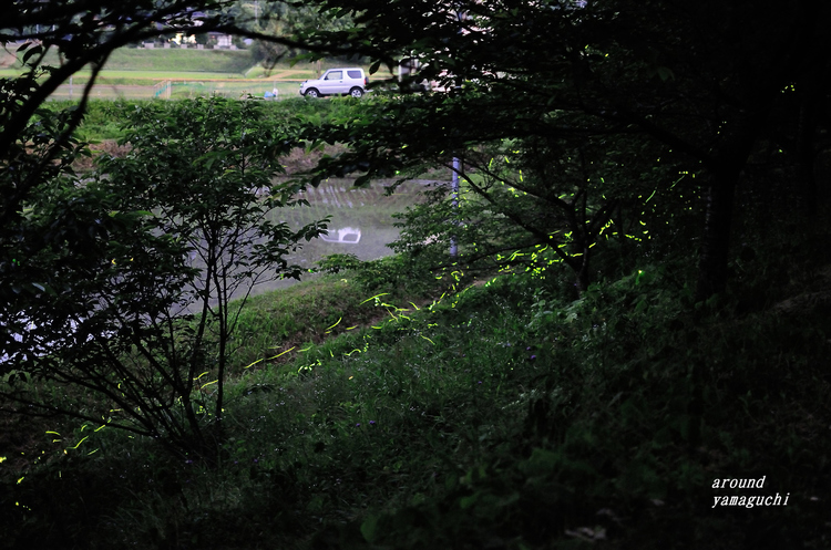 小野24.jpg