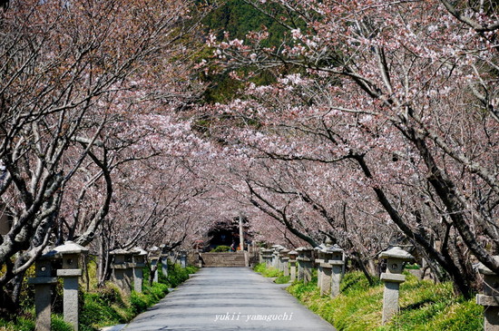 小鯖八幡宮01.jpg