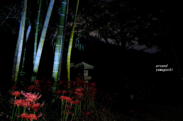 小鯖八幡宮03.jpg