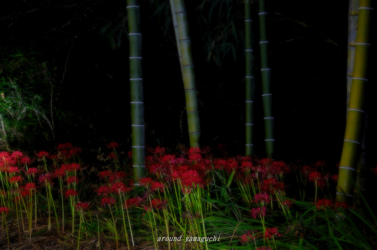 小鯖八幡宮09.jpg