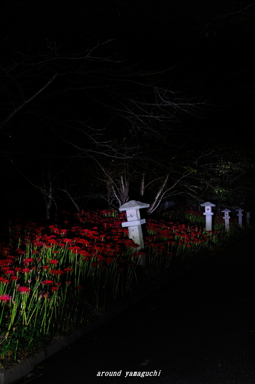 小鯖八幡宮10.jpg