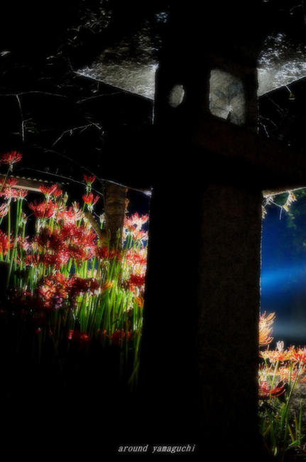 小鯖八幡宮夜061.jpg