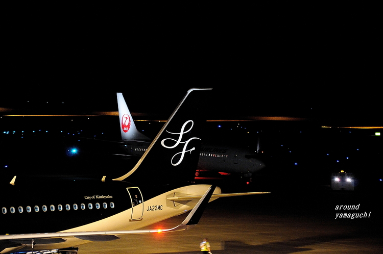 山口宇部空港06.jpg