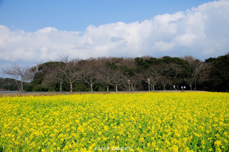 常盤公園00.jpg