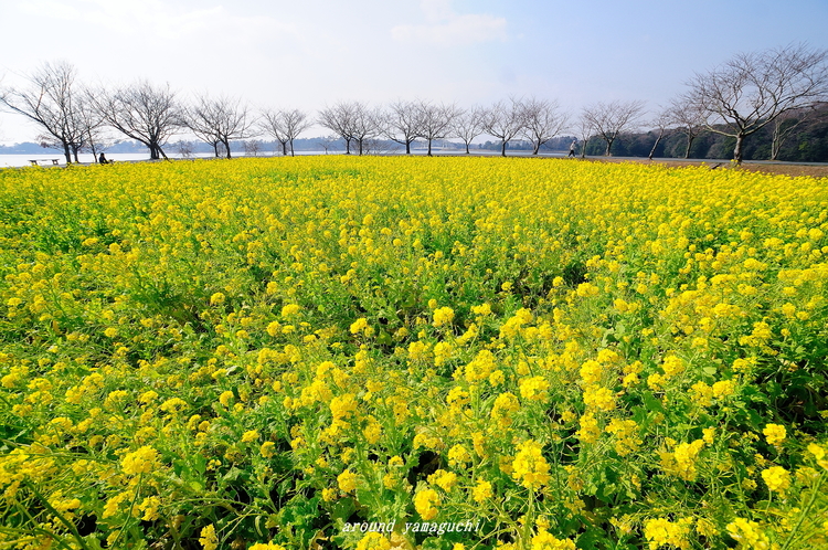 常盤公園01.jpg