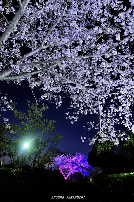 常盤公園01.jpg