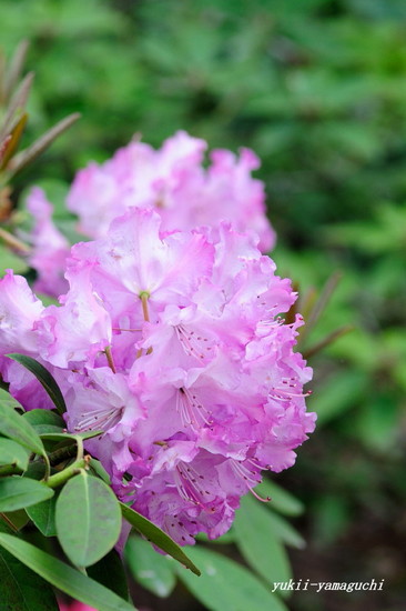 常盤公園01.jpg