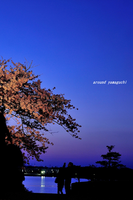 常盤公園02.jpg