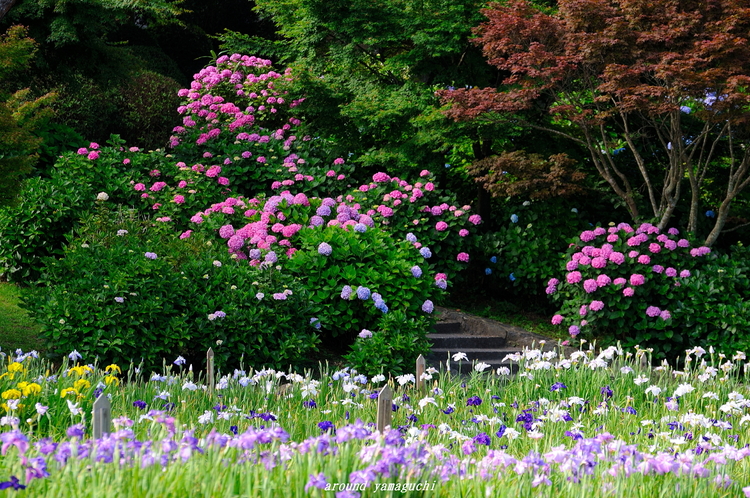 常盤公園04.jpg