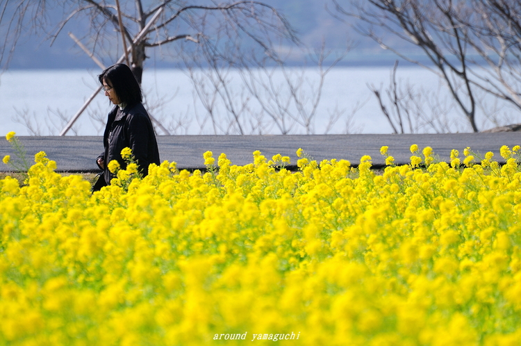 常盤公園04.jpg