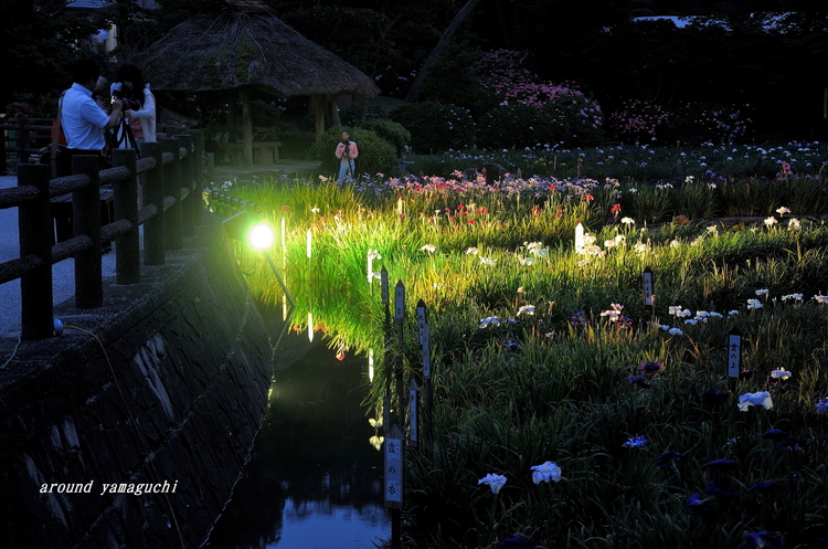 常盤公園05.jpg