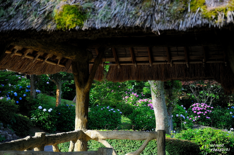 常盤公園06.jpg