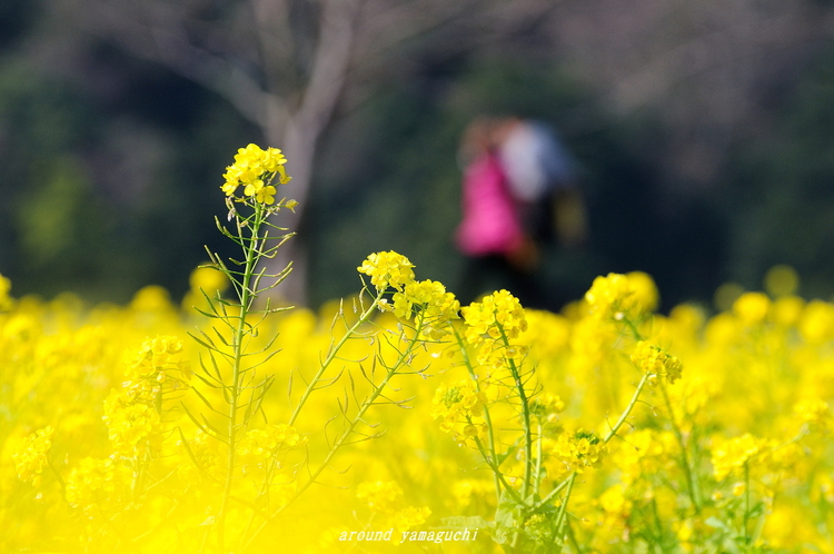 常盤公園08.jpg