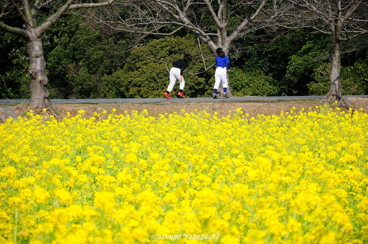 常盤公園09.jpg