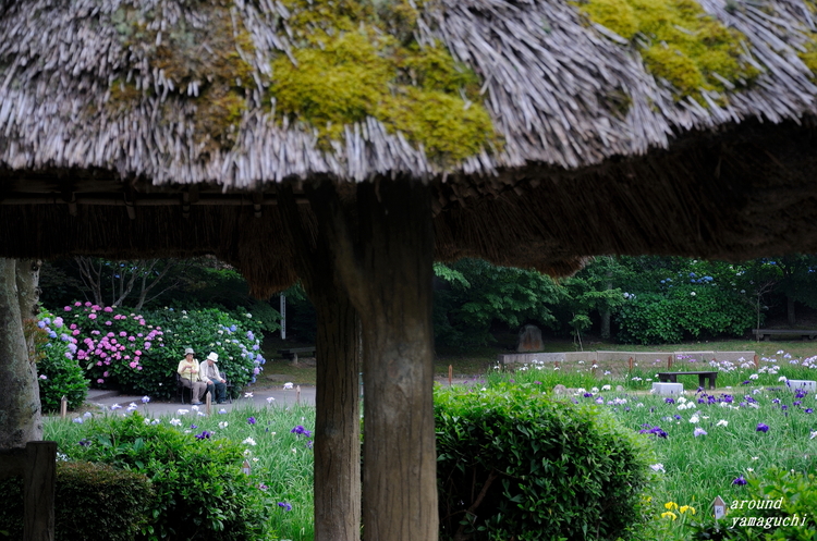常盤公園10.jpg