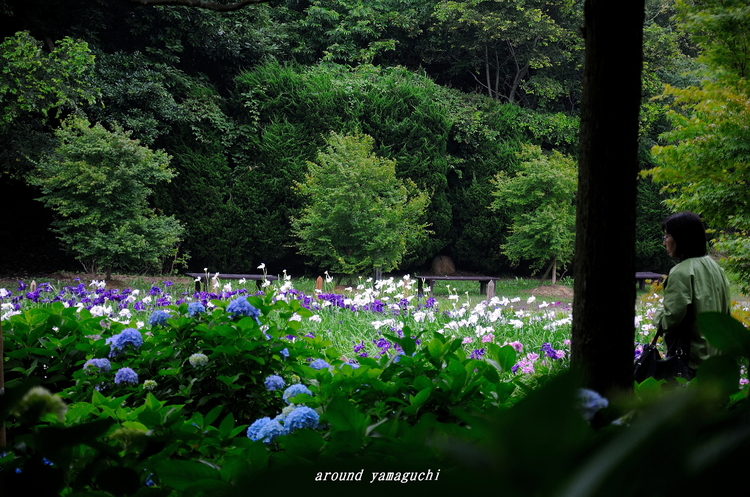 常盤公園11.jpg