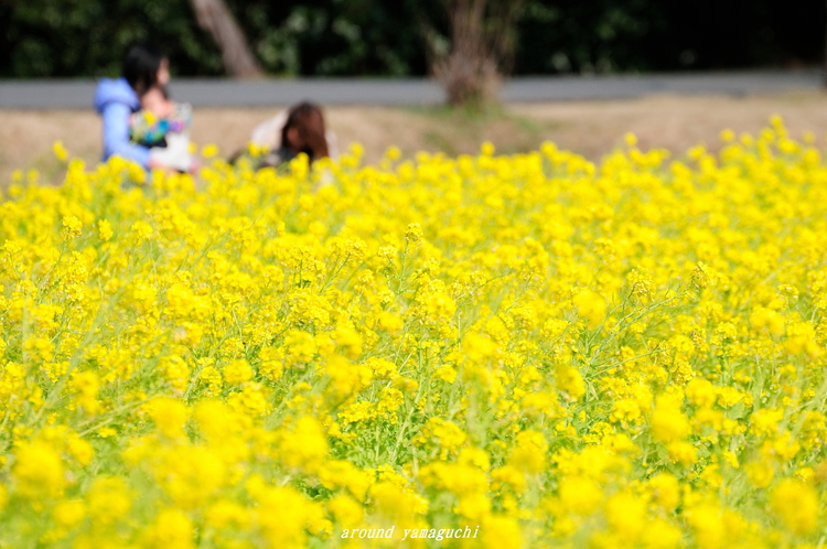 常盤公園12.jpg