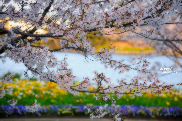 常盤公園13.jpg
