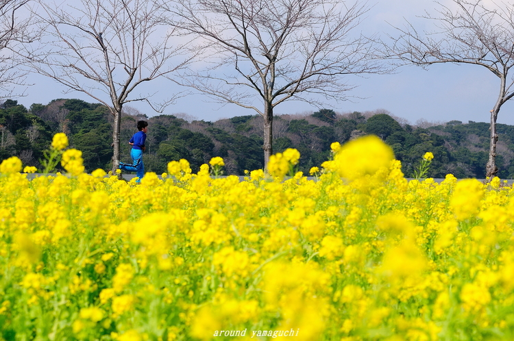 常盤公園14.jpg