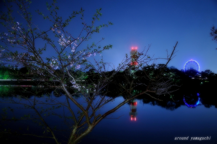 常盤公園15.jpg