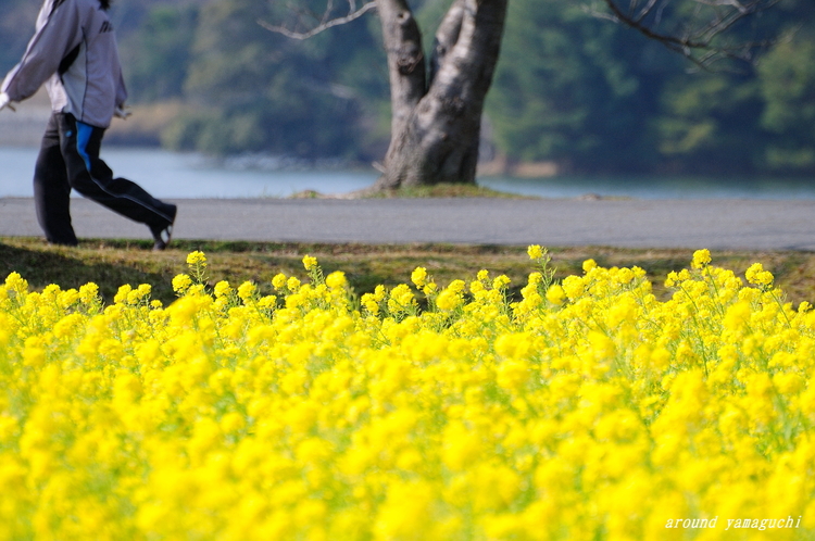 常盤公園16.jpg