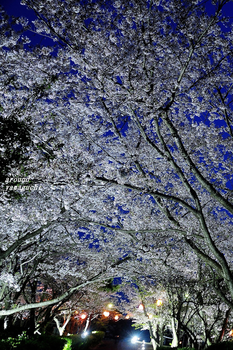 常盤公園18.jpg