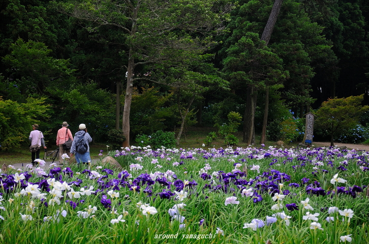 常盤公園20.jpg