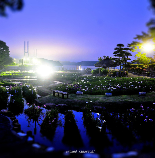 常盤公園22.jpg