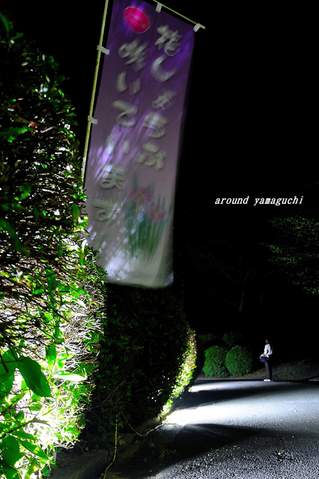 常盤菖蒲園01.jpg