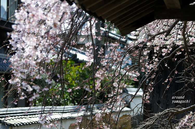 平安古04.jpg
