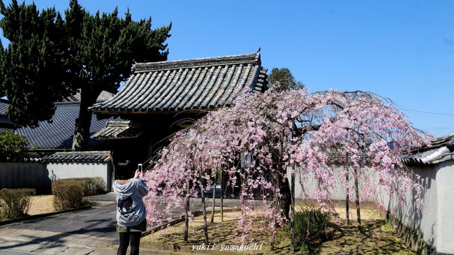 広雲寺01.jpg