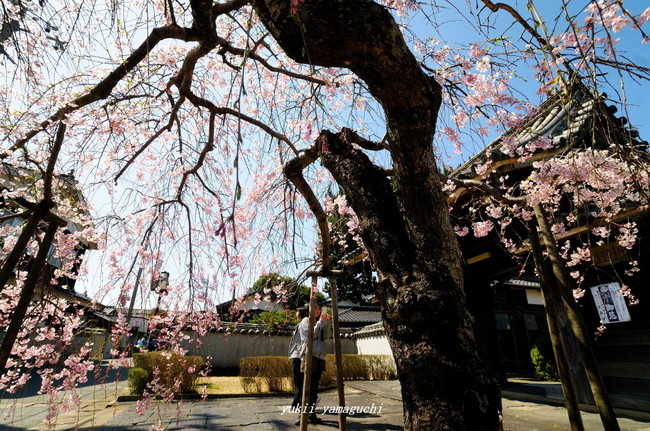 広雲寺02.jpg