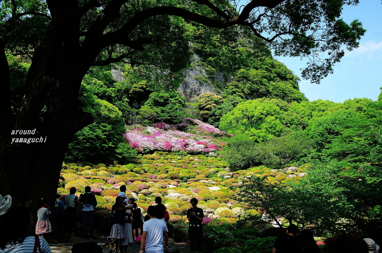 御船山楽園01.jpg