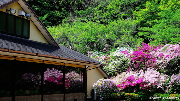 御船山楽園04.jpg