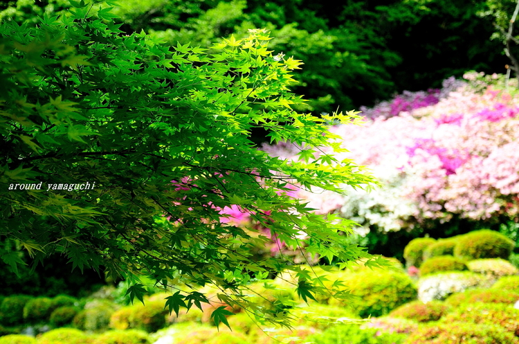 御船山楽園07.jpg