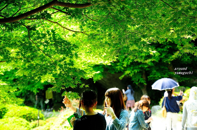 御船山楽園08.jpg