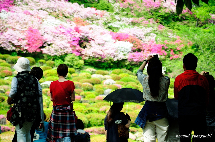 御船山楽園11.jpg