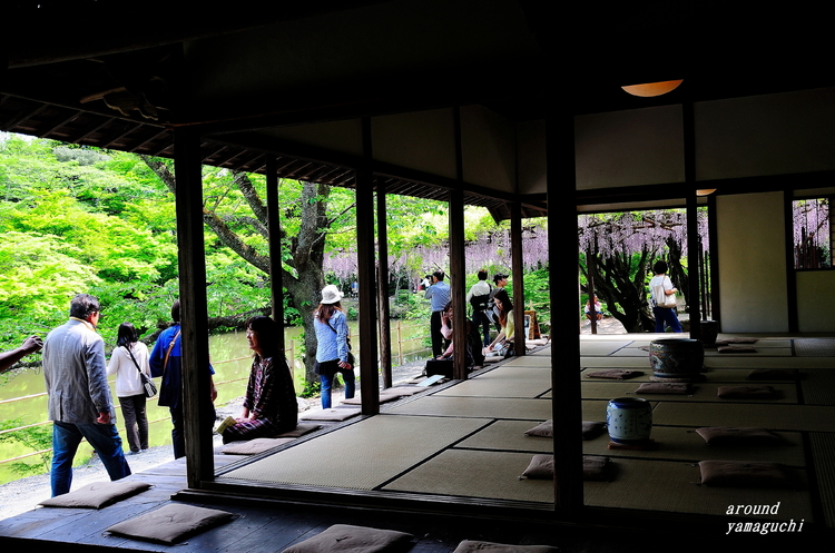 御船山楽園12.jpg