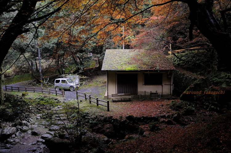 徳仙の滝05.jpg